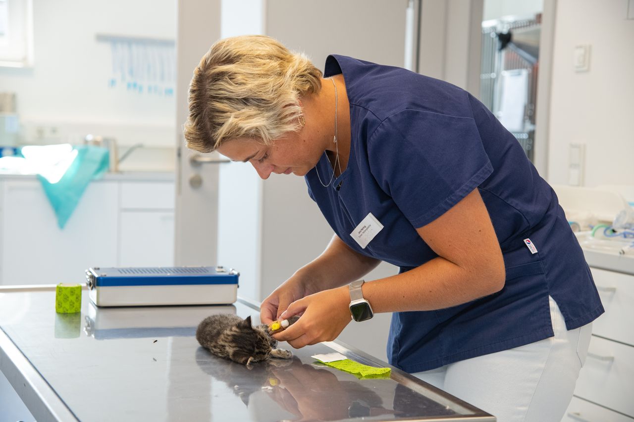 Sedation vs. Vollnarkose